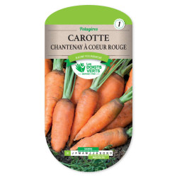 Carotte Chantenay A Coeur Rge 2 -graines de Les Doigts Verts - graines de Gironde à Bordeaux dans Graines de Carotte