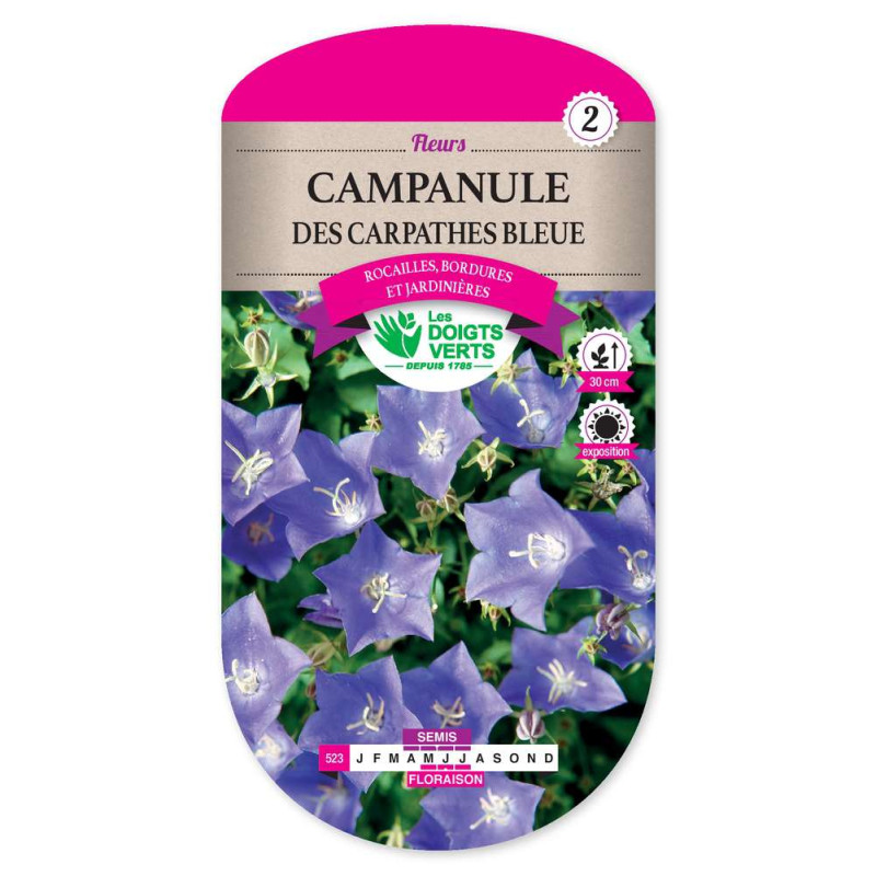 Campanule Des Carpathes Bleue -graines de Les Doigts Verts - graines de Gironde à Bordeaux dans Graines de fleurs en C