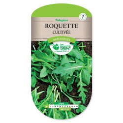 Roquette Cultivee -graines de Les Doigts Verts - graines de Gironde à Bordeaux dans Graines de Roquette