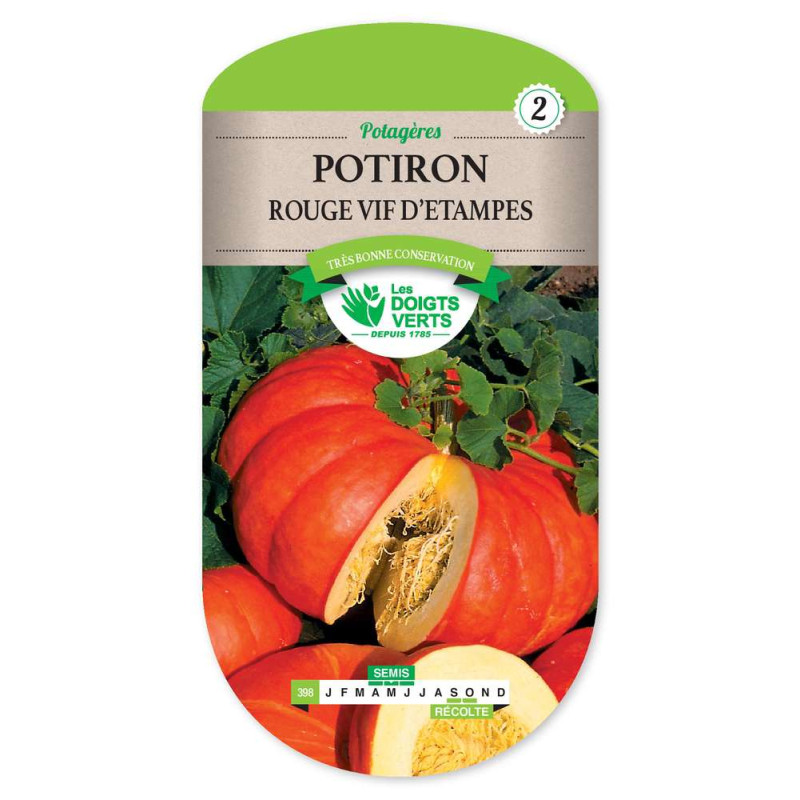 Potiron Rouge Vif D'Etampes -graines de Les Doigts Verts - graines de Gironde à Bordeaux dans Graines de Potiron - Citrouille