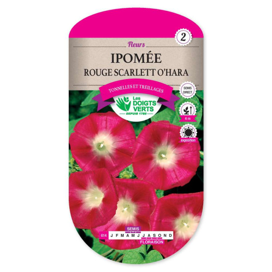 Ipomee Scarlet O'Hara Rouge -graines de Les Doigts Verts - graines de Gironde à Bordeaux dans Graines de fleurs en I
