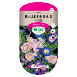 Belle De Jour Variee -graines de Les Doigts Verts - graines de Gironde à Bordeaux dans Graines de fleurs en B