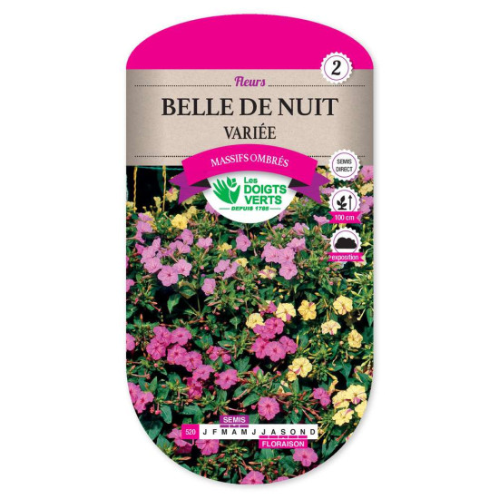 Belle De Nuit Variee -graines de Les Doigts Verts - graines de Gironde à Bordeaux dans Graines de fleurs en B