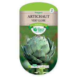 Artichaut Vert Globe -graines de Les Doigts Verts - graines de Gironde à Bordeaux dans Graines d'autres légumes