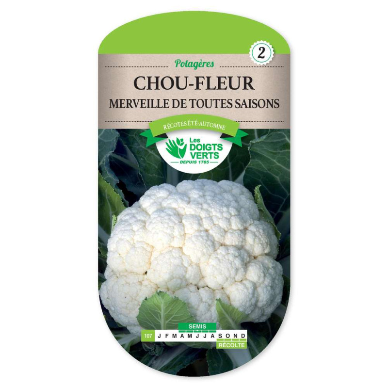 Chou-Fleur Merv. Toutes Saisons -graines de Les Doigts Verts - graines de Gironde à Bordeaux dans Graines de Chou