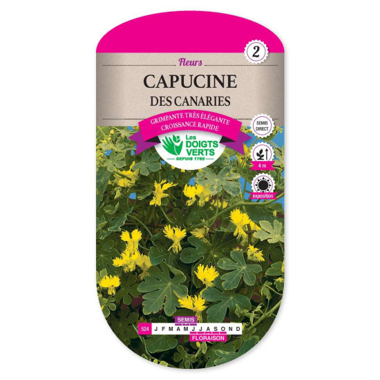 Capucine Des Canaries -graines de Les Doigts Verts - graines de Gironde à Bordeaux dans Graines de fleurs en C