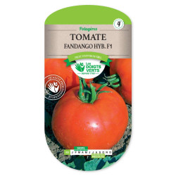 Tomate Fandango Hyb.F1 -graines de Les Doigts Verts - graines de Gironde à Bordeaux dans Graines de Tomate