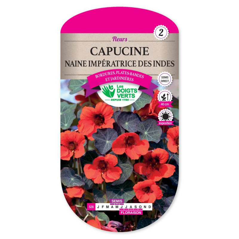 Capucine Naine Imperatrice Des Inde -graines de Les Doigts Verts - graines de Gironde à Bordeaux dans Graines de fleurs en C