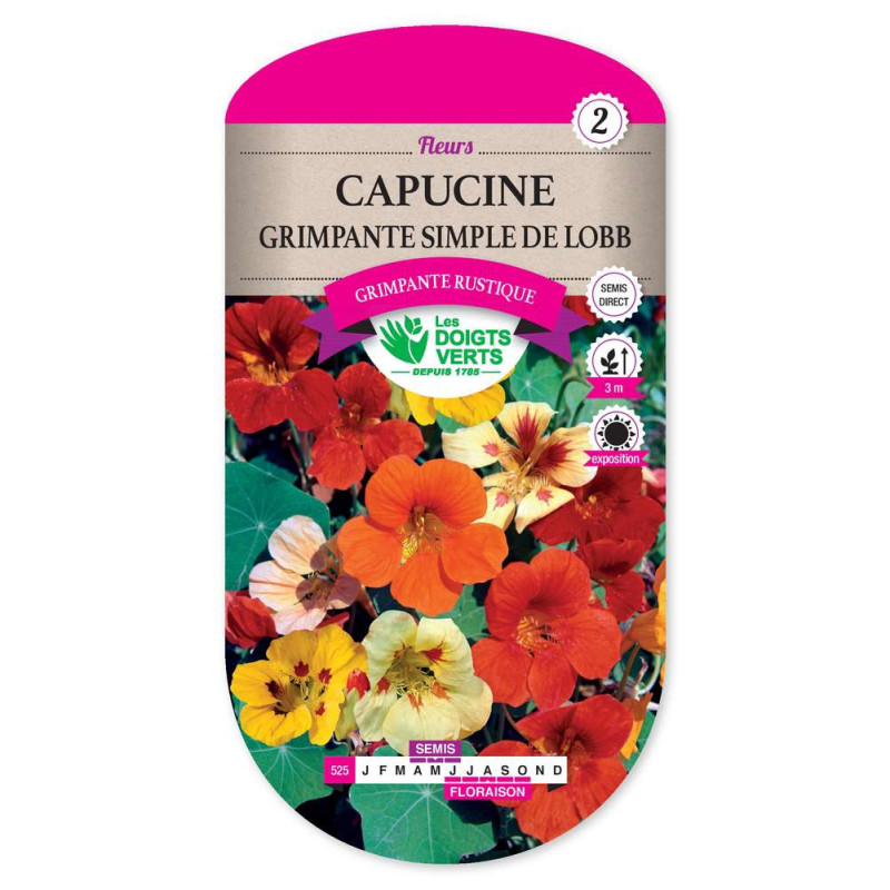 Capucine Simple Grimp. De Lobb -graines de Les Doigts Verts - graines de Gironde à Bordeaux dans Graines de fleurs en C