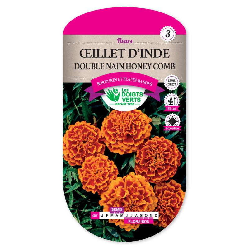 Oeillet D'Inde Dble Nain Honey Comb -graines de Les Doigts Verts - graines de Gironde à Bordeaux dans Graines de fleurs en O