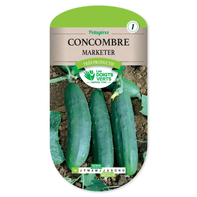 Concombre Marketer -graines de Les Doigts Verts - graines de Gironde à Bordeaux dans Graines de Concombre