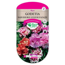 Godetia Nain Dble Fleur Azalee -graines de Les Doigts Verts - graines de Gironde à Bordeaux dans Graines de fleurs en G