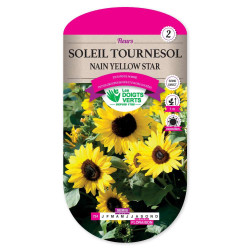 Soleil Tournesol Nain Yellow Star -graines de Les Doigts Verts - graines de Gironde à Bordeaux dans Graines de fleurs en S