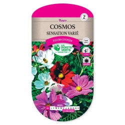 Cosmos Sensation Varie -graines de Les Doigts Verts - graines de Gironde à Bordeaux dans Graines de fleurs en C