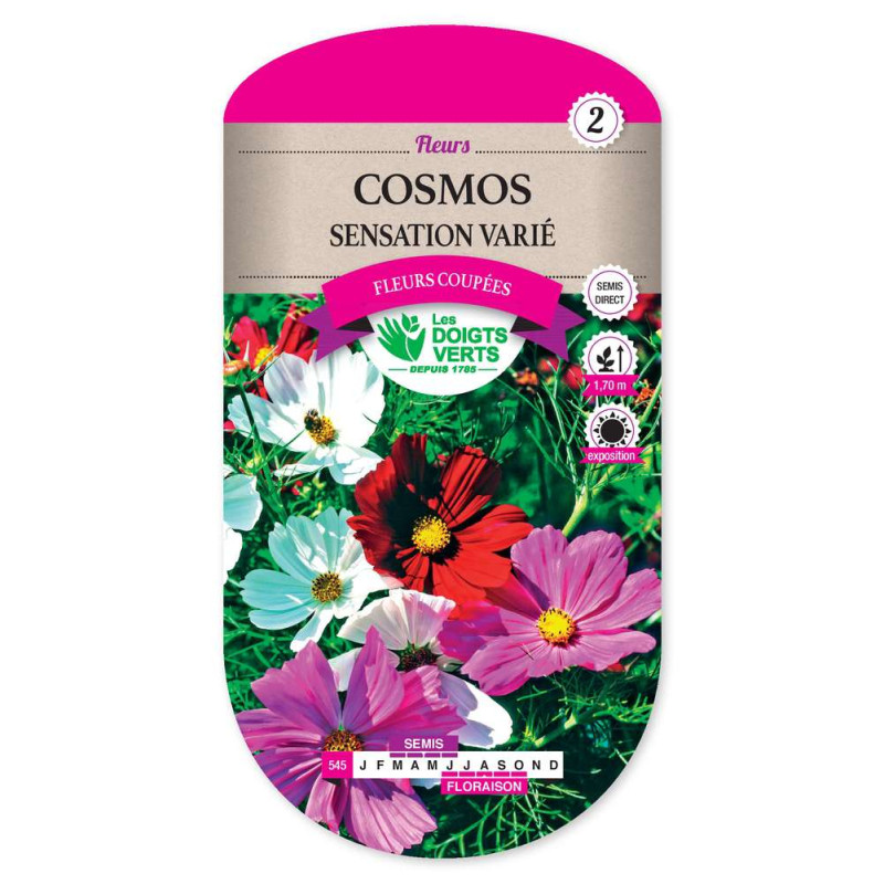 Cosmos Sensation Varie -graines de Les Doigts Verts - graines de Gironde à Bordeaux dans Graines de fleurs en C