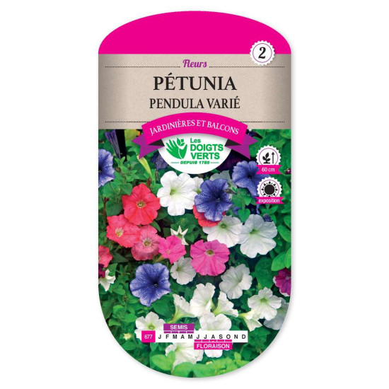 Petunia Pendula Varie -graines de Les Doigts Verts - graines de Gironde à Bordeaux dans Graines de fleurs en P