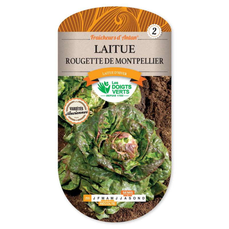Laitue Rougette De Montpellier -graines de Les Doigts Verts - graines de Gironde à Bordeaux dans Graines de Salade - Laitue