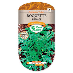 Roquette Sauvage -graines de Les Doigts Verts - graines de Gironde à Bordeaux dans Graines de Roquette