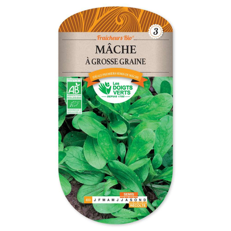 Mache A Grosse Graine Fraic.Bio -graines de Les Doigts Verts - graines de Gironde à Bordeaux dans Graines de Mache
