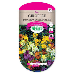 Giroflee Jaune Ravenelle Variee -graines de Les Doigts Verts - graines de Gironde à Bordeaux dans Graines de fleurs en G