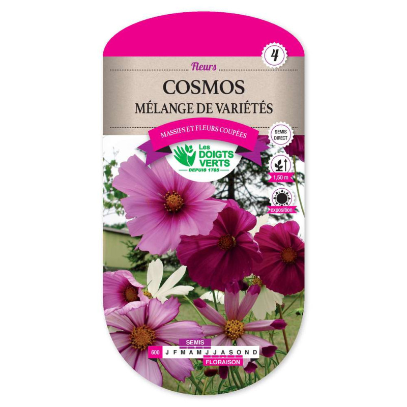 Cosmos Melange De Varietes -graines de Les Doigts Verts - graines de Gironde à Bordeaux dans Graines de fleurs en C