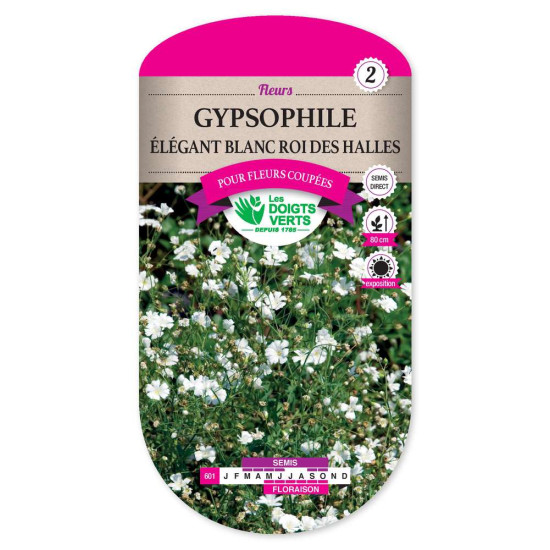 Gypsophile Elegant Blanc Roi Halle -graines de Les Doigts Verts - graines de Gironde à Bordeaux dans Graines de fleurs en G