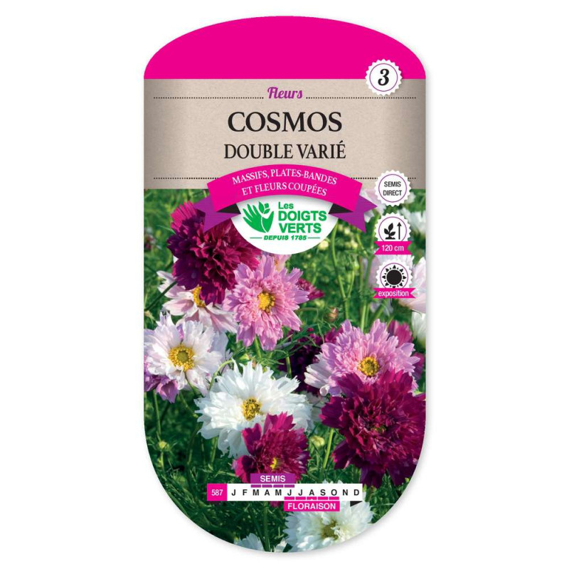 Cosmos Double Varie -graines de Les Doigts Verts - graines de Gironde à Bordeaux dans Graines de fleurs en C