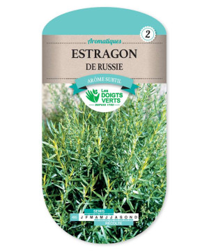Estragon De Russie -graines de Les Doigts Verts - graines de Gironde à Bordeaux dans Graines d'autres aromatiques