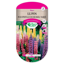 Lupin Polyphylle De Russel Varie -graines de Les Doigts Verts - graines de Gironde à Bordeaux dans Graines de fleurs en L