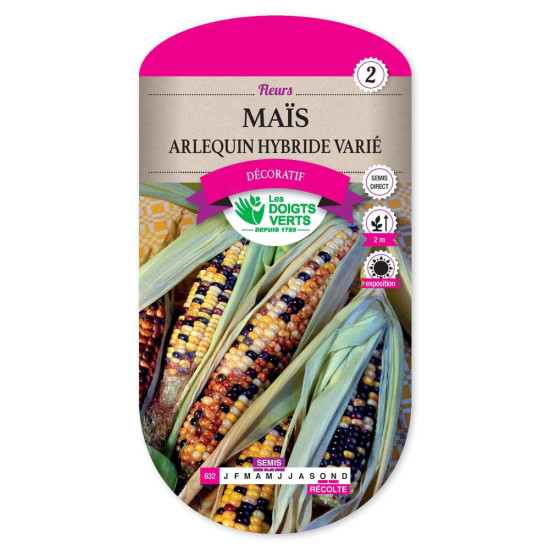 Mais Arlequin Hybride Varie -graines de Les Doigts Verts - graines de Gironde à Bordeaux dans Graines de fleurs en M