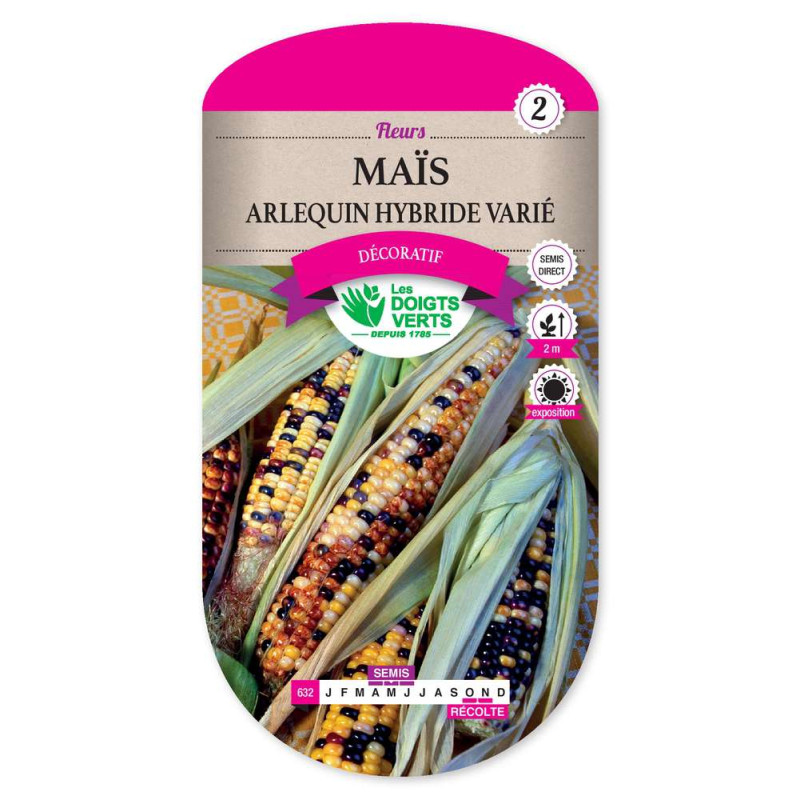 Mais Arlequin Hybride Varie -graines de Les Doigts Verts - graines de Gironde à Bordeaux dans Graines de fleurs en M