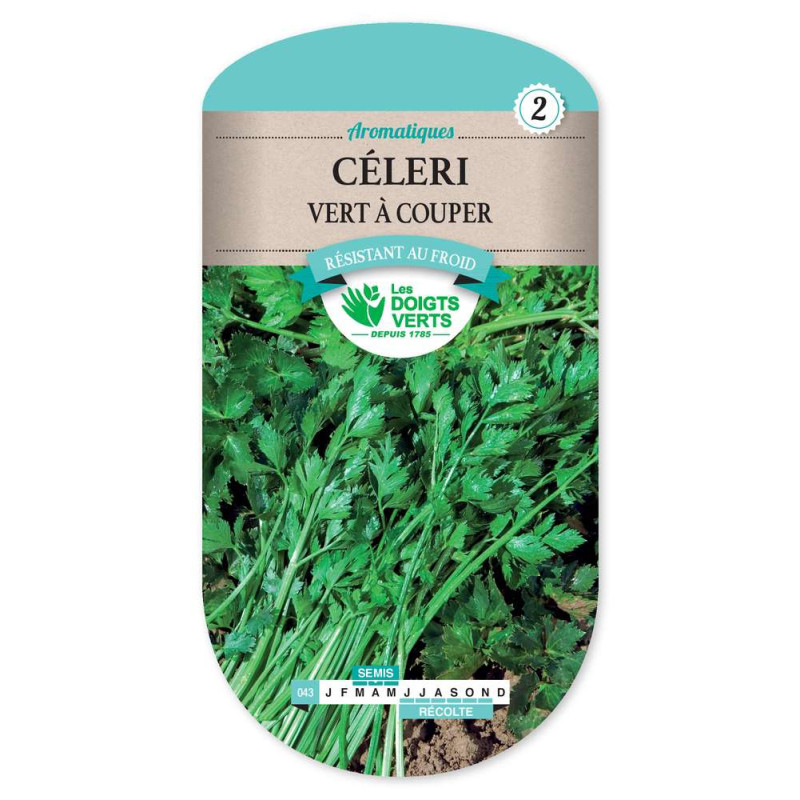Celeri Vert A Couper -graines de Les Doigts Verts - graines de Gironde à Bordeaux dans Graines de Celeri
