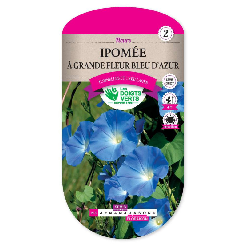 Ipomee A Grande Fleur Bleu Azur -graines de Les Doigts Verts - graines de Gironde à Bordeaux dans Graines de fleurs en I