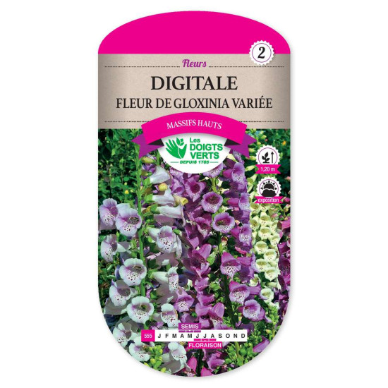 Digitale Fleur Gloxinia Variee -graines de Les Doigts Verts - graines de Gironde à Bordeaux dans Graines de fleurs en D