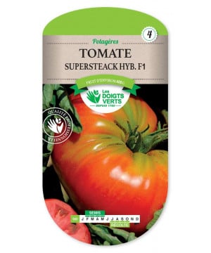 Tomate supersteak de Les Doigts Verts - graines de Gironde à Bordeaux dans Tomate