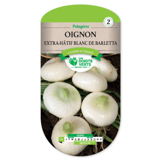 Oignon Blanc Extra Hatif Barletta -graines de Les Doigts Verts - graines de Gironde à Bordeaux dans Oignon - Ail - echalote à...