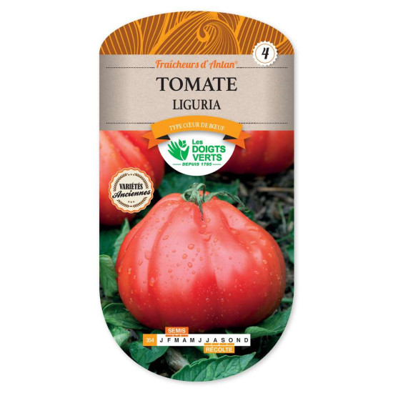 Tomate Liguria -graines de Les Doigts Verts - graines de Gironde à Bordeaux dans Graines de Tomate