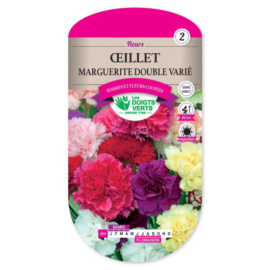 Oeillet Marguerite Double Varie -graines de Les Doigts Verts - graines de Gironde à Bordeaux dans Graines de fleurs en O