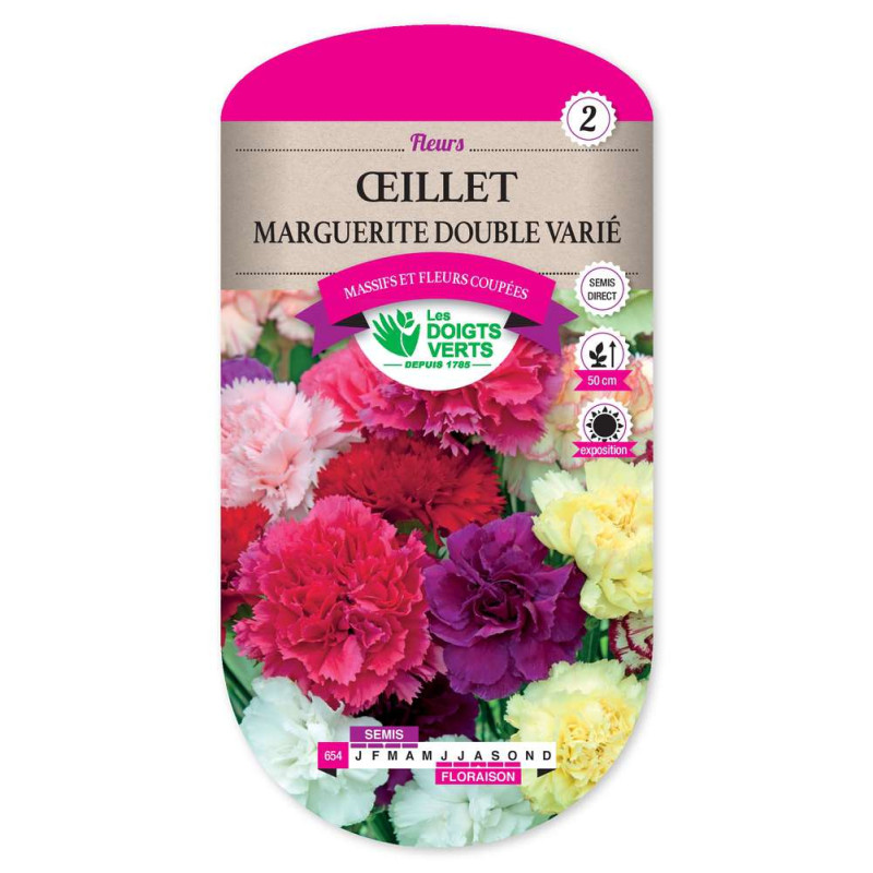 Oeillet Marguerite Double Varie -graines de Les Doigts Verts - graines de Gironde à Bordeaux dans Graines de fleurs en O