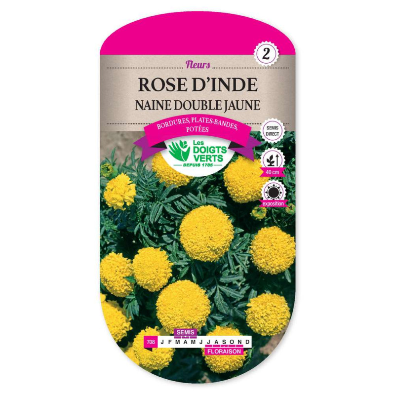 Rose D'Inde Naine Double Jaune -graines de Les Doigts Verts - graines de Gironde à Bordeaux dans Graines de fleurs en R