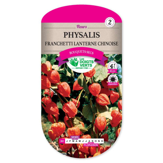 Physalis Franchetti Lant.Chinois -graines de Les Doigts Verts - graines de Gironde à Bordeaux dans Graines de fleurs en P