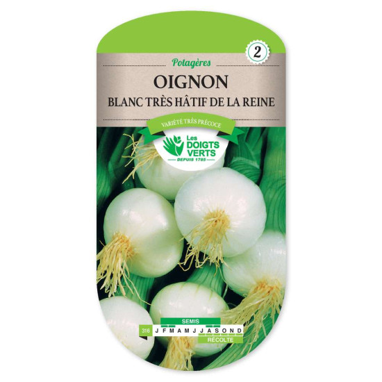 Oignon Blanc Tres Hatif Reine -graines de Les Doigts Verts - graines de Gironde à Bordeaux dans Oignon - Ail - echalote à semer