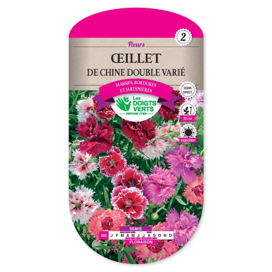 Oeillet Chine Double Varie -graines de Les Doigts Verts - graines de Gironde à Bordeaux dans Graines de fleurs en O