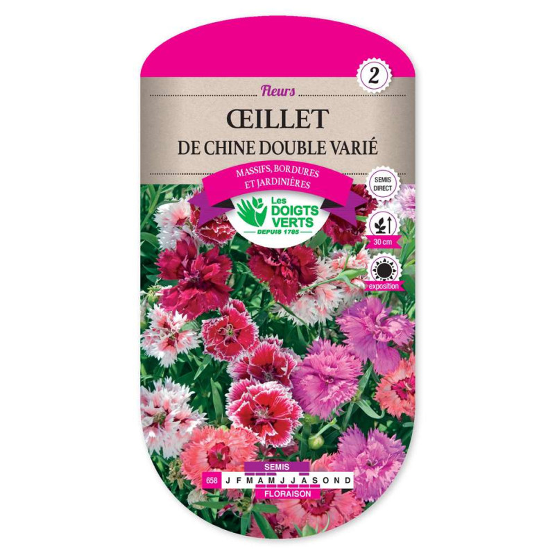Oeillet Chine Double Varie -graines de Les Doigts Verts - graines de Gironde à Bordeaux dans Graines de fleurs en O