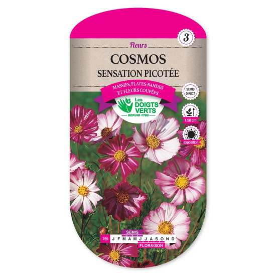 Cosmos Picotee -graines de Les Doigts Verts - graines de Gironde à Bordeaux dans Graines de fleurs en C