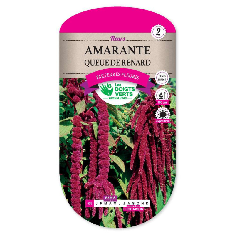 Amarante Queue De Renard -graines de Les Doigts Verts - graines de Gironde à Bordeaux dans Graines de fleurs en A