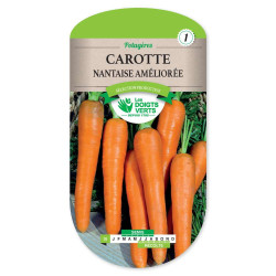 Carotte Nantaise Amelioree 2 -graines de Les Doigts Verts - graines de Gironde à Bordeaux dans Graines de Carotte