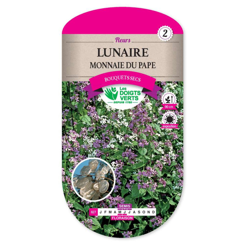 Lunaire Monnaie Du Pape -graines de Les Doigts Verts - graines de Gironde à Bordeaux dans Graines de fleurs en L
