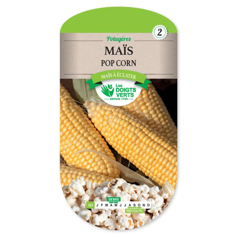 Mais Pop Corn -graines de Les Doigts Verts - graines de Gironde à Bordeaux dans Graines de Maïs
