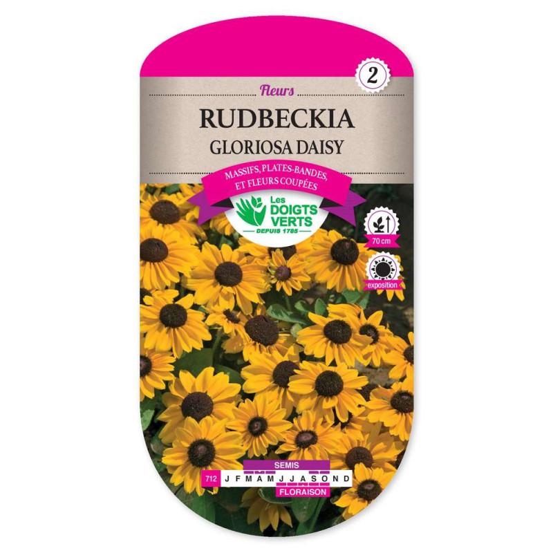 Rudbeckia Varie -graines de Les Doigts Verts - graines de Gironde à Bordeaux dans Graines de fleurs en R
